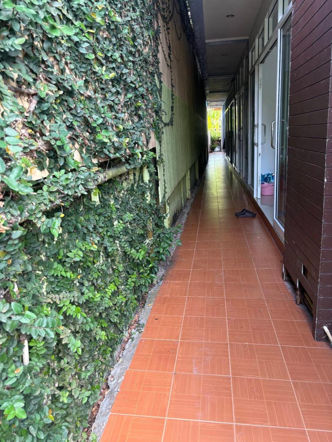 Hotel Rung Phangan Baan Tai Dış mekan fotoğraf